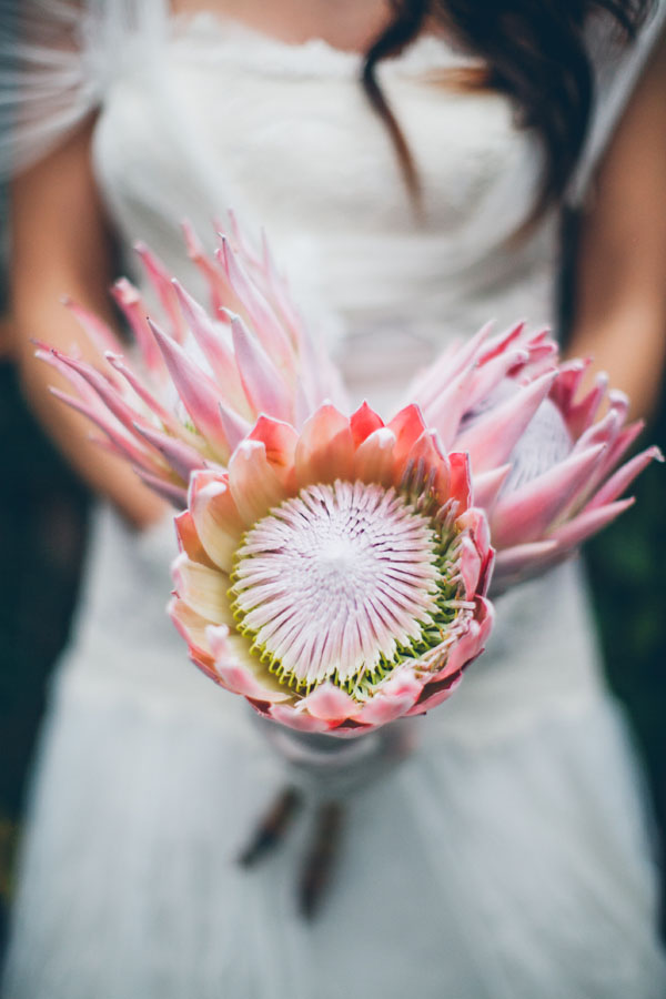 Protea Bridal Boquet