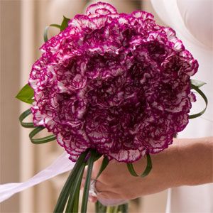 Purple variegated carnations and lily grass