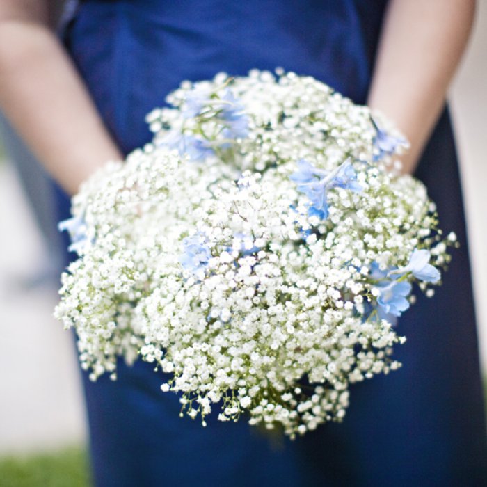 Baby's breath and blue delphinium