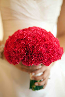 Just Red Carnations