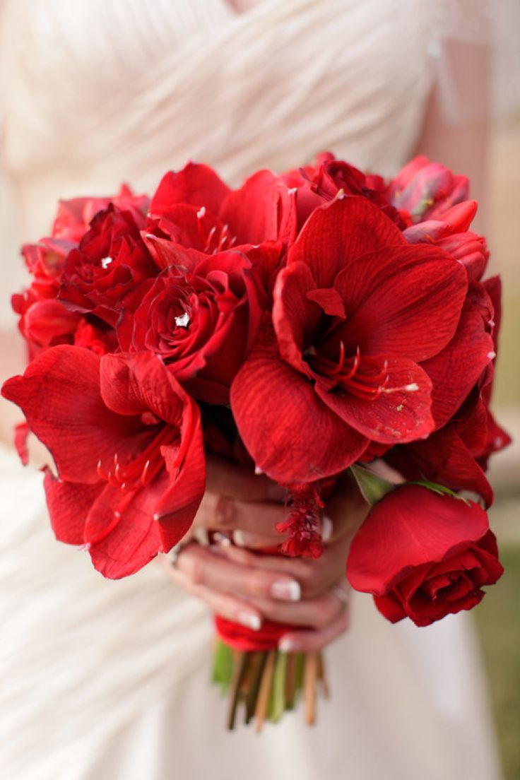 Red Bouquet of Roses and Hibiscus